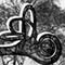 TREE EAR  BW PRINT VER 5 9 